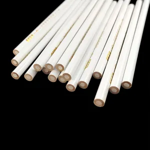 Professional Nail Art Dotting Pen White Wooden Handle Rhinestone Picker Tool For DIY Phone Beauty Manicure Craft