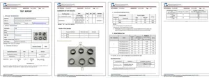 Rapport de test de conformité REACH pour bague en acier inoxydable de haute qualité.
