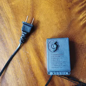 LED string light controller and plug detail shot, showing the multi-mode switch and black casing.