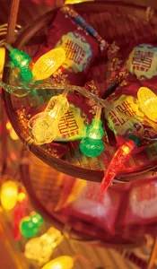 Festive LED string lights for New Year and home holiday party decoration, colorful bulb designs.