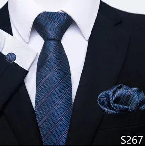 Blauw geruit heren das set detail met rode diagonale strepen en bijpassend pochet.