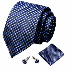 Gedetailleerd opname van een blauw-zwart geruite stropdas, pochet en manchetknopen set.