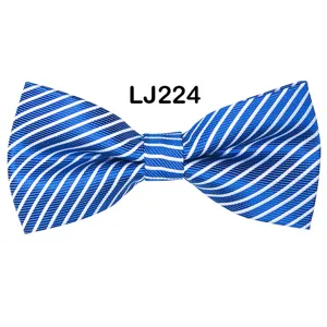 Detail view of the stylish blue and white striped men bow tie for business party wedding.