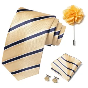Conjunto de caja de regalo de corbata a rayas para hombre con pañuelo flor gemelos traje