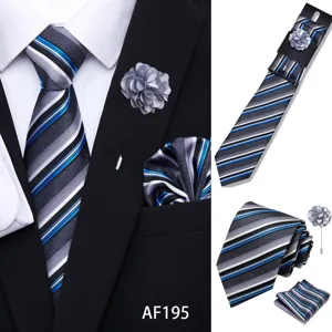 Men's diagonal striped tie set with pocket square and lapel pin for business wedding parties.