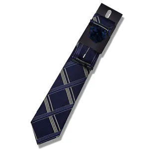 Men's navy blue plaid tie set with pocket square and lapel pin for business wedding party