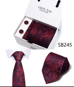 Heren zijden paisley stropdas set met geschenkdoos, ideaal voor zakelijk en huwelijk.