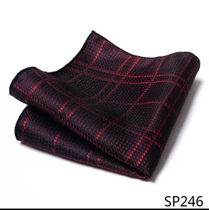 Stijlvolle heren ruit pochet pak zakdoek vierkant accessoire voor formele zakenkleding.