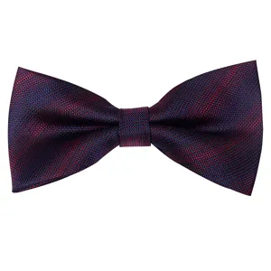 Classic men's blue and red jacquard polyester bow tie for business weddings and parties.