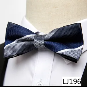 Nœud papillon jacquard homme, rayé bleu argent formel mariage fête d'affaires détail.