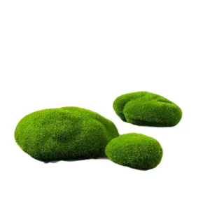 Simulation Fausse Mousse Pierre Floconneuse Micro Paysage Plante Suculente Accessoires de Décoration DIY