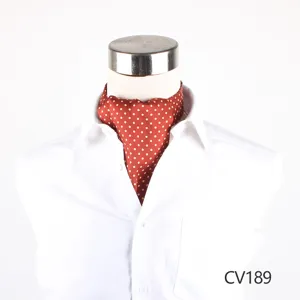 Cravatta in seta da uomo moda affari pois rossi bianchi accessorio dettaglio vista top.