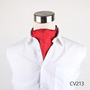 Cravatta asco in seta rossa fantasia da uomo, classica cravatta elegante per affari matrimonio