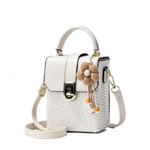 Chique mini geweven crossbody tas voor dames PU lederen box handtas met gouden slot