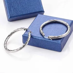 Stainless steel twisted hoop earrings, high quality silver tone metal jewelry for women.