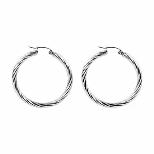 Stainless steel twisted hoop earrings for women, stylish silver metallic round earrings main view.
