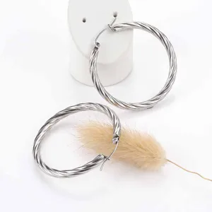 Close-up of stylish twisted stainless steel hoop earrings, detailed texture design for everyday wear.