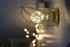 Gedetailleerd overzicht van een minimalistisch gouden ijzeren vogelkooi LED-nachtlampje.