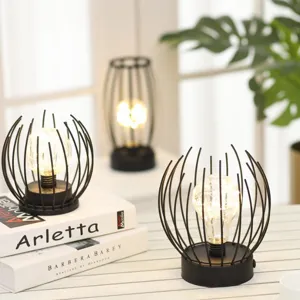 Noordse INS stijl ijzeren draad LED tafellamp, creatief nachtlampje voor huisdecoratie.
