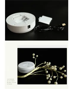 LED boom lamp batterij USB basis en perlen tak detailweergave voor romantische kamerdecoratie