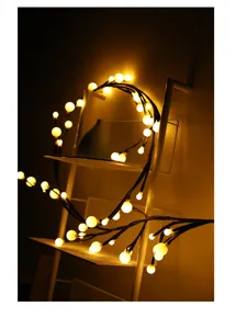 LED takken lichtketting detailweergave, warme decoratieve verlichting op wandplank