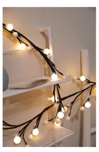 Decoratieve LED tak lichtketting detailopname, warme gloeiende kleine lampjes voor gezellige kamer.