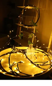 Decoratieve LED tak lichtketting voor woonkamer, slaapkamer en binnenhuisdecoratie thuis.