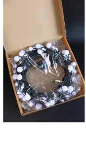 LED lichtsnoer detailweergave, decoratieve bol lampjes netjes verpakt in doos.