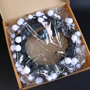 LEDs lichterketting bollen met stekker decoratieve verlichting voor slaapkamer binnenshuis.