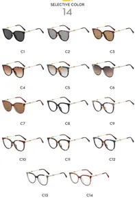 European style large frame cat eye retro sunglasses, fashion multi-color options available.