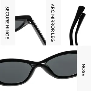 Vue détaillée de lunettes de soleil noires avec charnière, branche et pont nasal.