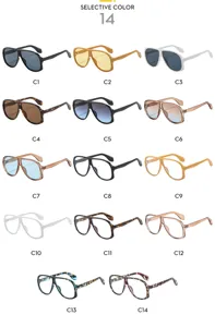 Vista dettagliata che mostra quattordici varianti di colore di occhiali da sole retro oversize alla moda.