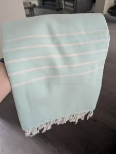 Detailed close-up shot of light blue Turkish beach towel featuring white stripes and fringe.