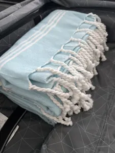 Light blue Turkish beach towel with white stripes and twisted fringe, folded in suitcase.
