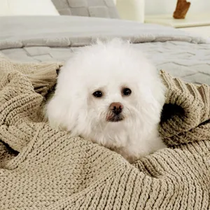Close-up of cozy beige knitted throw blanket with soft texture in warm bedroom scene.