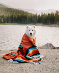 Woven Mexican blanket with vibrant tribal Aztec and Thunderbird patterns, cozy beach throw.