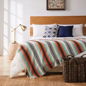 Vue détaillée d'un plaid mexicain tissé à la main, idéal pour un style de canapé chaleureux.