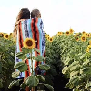 Colorful Mexican striped blanket geometric tassel beach towel picnic mat outdoor view