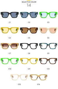 Modische klobige quadratische Sonnenbrille und optische Fassungen in trendigen Farbvarianten.