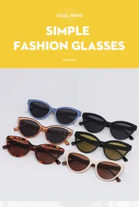 Stylish cat eye sunglasses set for women, trendy multi-color fashion eyewear for daily wear.