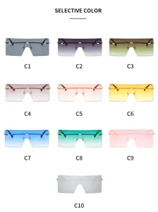 Tabella colori elegante per occhiali da sole oversize in un pezzo con sfumature alla moda.