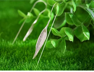 Silver leaf dangle earrings detailed view, elegant nature inspired design for women