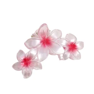 Chic molletta per capelli a fiore sfumato, elegante pinza per acconciature quotidiane.