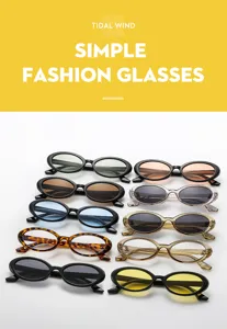 Detailed shot of trendy retro oval sunglasses featuring colorful frames and lenses for daily wear.
