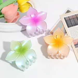 Farbverlauf Blume HaarKlammer fuer Damen, wunderschoene transparente Haar-Accessoires.