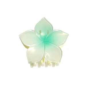 Verlauf Blume Haarklammer, frisches Design Haarschmuck für Damen, elegante Haarspange Styling.