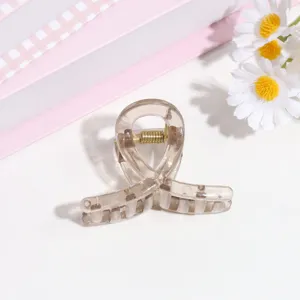 Pinza De Pelo Transparente Pequeña Horquilla Bonita Accesorios De Pelo Elegantes Para Mujeres