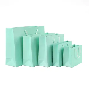 Gedetailleerd overzicht van verschillende mintgroene papieren geschenkzakken met koord.