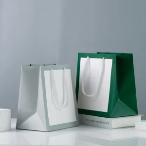 Minimalist White Cardboard Paper Gift Bag With Ribbon Handle For Clothing Beauty Boutique Packaging Portable Shopping Bag Multi Size