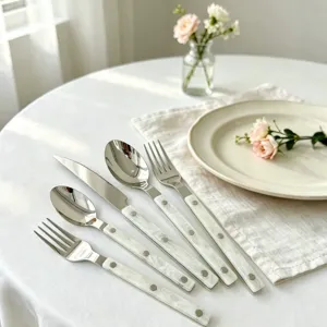 Luxe Franse stijl 304 roestvrij staal bestek set met acryl handvat voor biefstuk mes vork